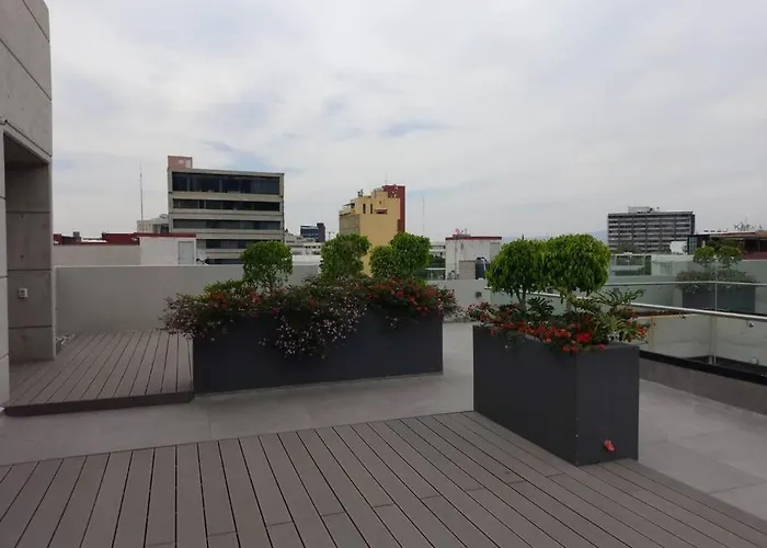 New Beautiful Near Reforma